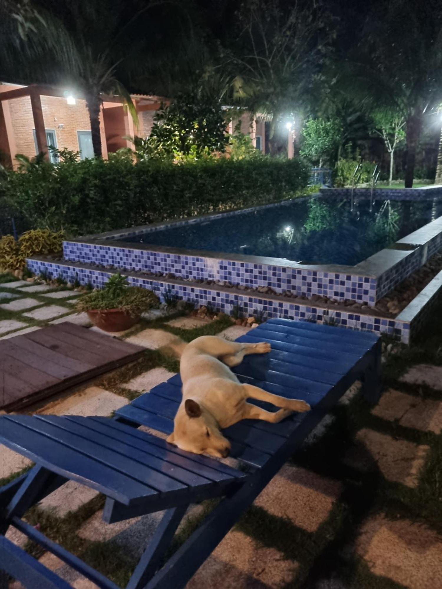 Anan Boutique Bungalows With Private Kitchen Фу Куок Екстериор снимка